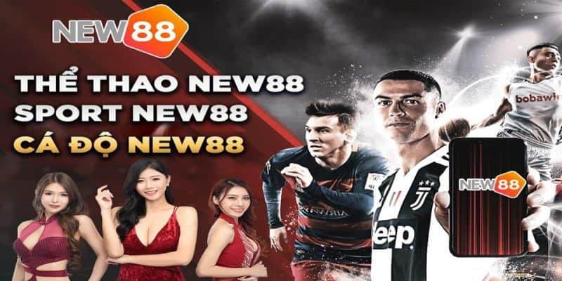 Giới thiệu về thể thao New88